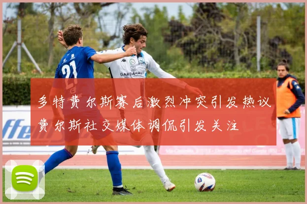 多特费尔斯赛后激烈冲突引发热议费尔斯社交媒体调侃引发关注