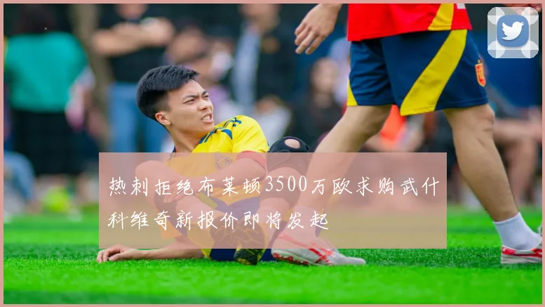 热刺拒绝布莱顿3500万欧求购武什科维奇新报价即将发起